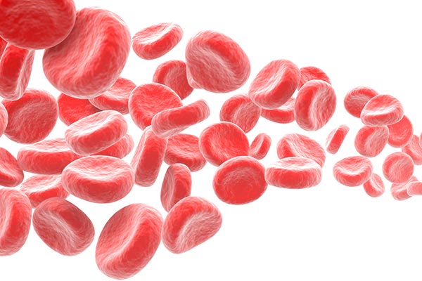 -prp Platelet Rich Plasma PRP Houston Texas Camp Beauty and Wellness